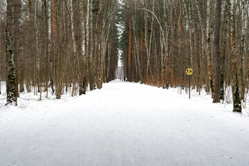 Naklejka premium the snow trail is divided into 2 parts, one for skiers and the other for pedestrians. separation road sign