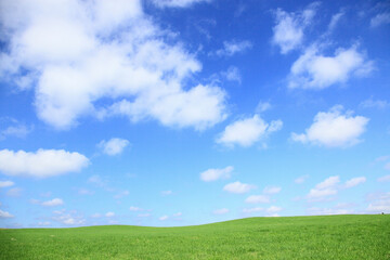 Fototapeta na wymiar 草原の空と雲