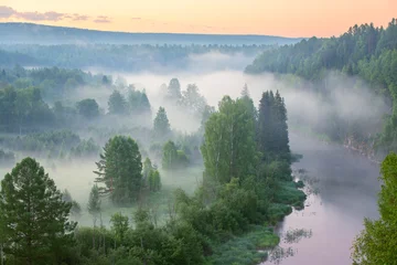 Store enrouleur tamisant sans perçage Forêt dans le brouillard mist over the river