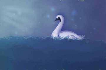 White Swan floating on the lake