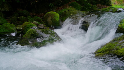 夏の緑の中を流れる渓流　-日本、長野県、杜鵑峡（トケンキョウ）