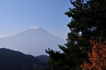 富士と紅葉