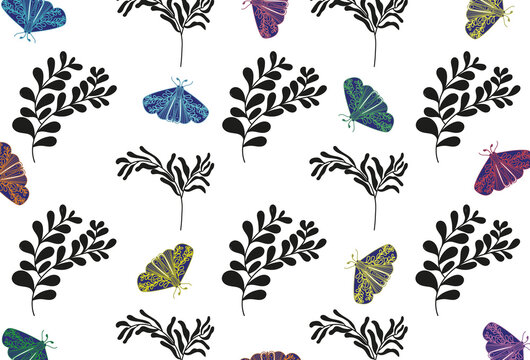 Pattern isolated on white background.
Feijoa leaves with butterflies.
