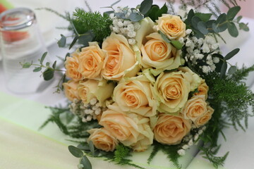 The beauties and splendor of colorful flowers