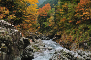 渓谷