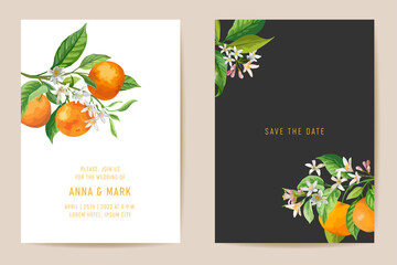 Wedding invitation card, vintage Save the Date mandarin, botanical citrus template design watercolor illustration