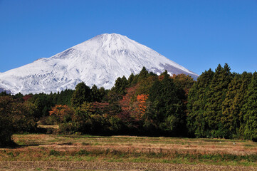 富士山
