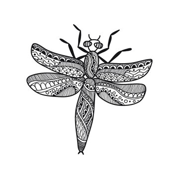 Composition with cute hand drawn dragonfly decorated with ornament. Vector illustration