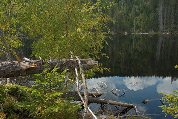 Prasilske Lake near the village Prasily,Plzen Region,Czech republic,Europe
