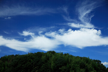白い雲