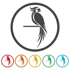 Parrot bird ring icon, color set