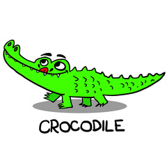 crocodile