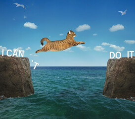 A brave cat jumps over the strait. I can't do it. Positive motivation.