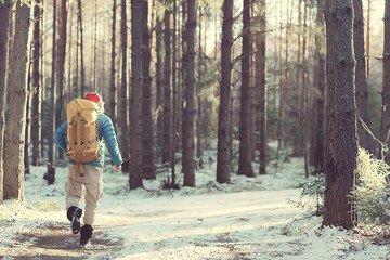 Fototapeta premium tourist in the winter forest / the guy travels against the backdrop of a winter landscape with forest, snow and trees
