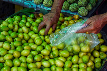 person holding a bunch of fresh vegetables