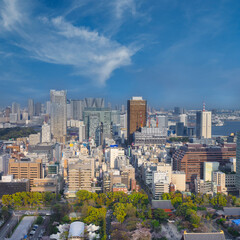 Fototapeta na wymiar Tokyo Skyline, japan city cityscape at twilight, Tokyo is the world's most populous metropolis.