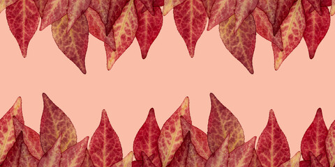 Frame of red autumn leaves on a pink background