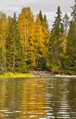Fototapeta premium Ruskeal waterfalls at Tohmajoki river near Ruskeala village. Sortavala district. Republic of Karelia. Russia