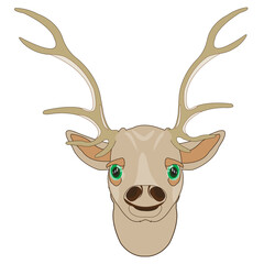 Vector illustration of the portrait of the deer with horn