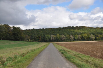Fototapeta na wymiar an empty countryside road near Wurzburg, Franconia, Bavaria, Germany