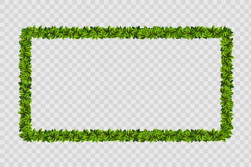 Garland frame with green leaves. Vector template.