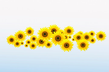Naklejka premium ヒマワリ