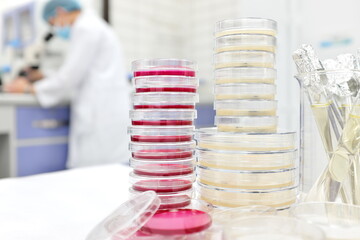 Selective focus of stack of petri dish with agar and a scientist microbiologist working on a microscope at the back. Disease and medical laboratory research with copy space.