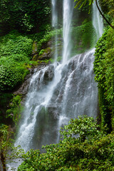 Obraz premium Sekumpul waterfall - Bali island Indonesia