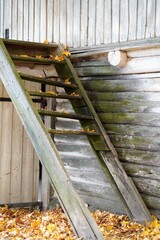 Obraz premium aged wooden steps in countryside