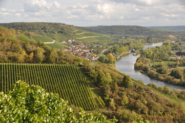 Fototapeta na wymiar view over the river Main and the lock from the vineyards above Randersacker on an autumn sunny day, Franconia, Bavaria, Germany