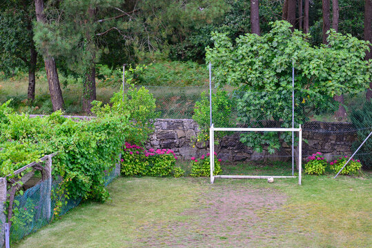 small soccer field in the garden