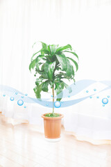 クリーンな空気