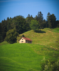 Fototapeta na wymiar small wooden house in Switzerland