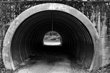 Parco delle Groane, Lombardia