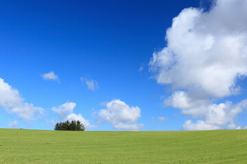 草原と雲