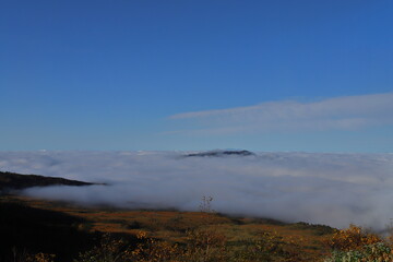 高原から見える雲海