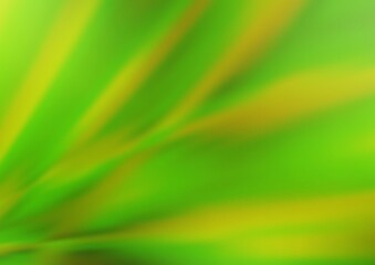 Obraz premium Light Green vector abstract background.