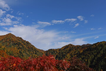 秋の山の風景