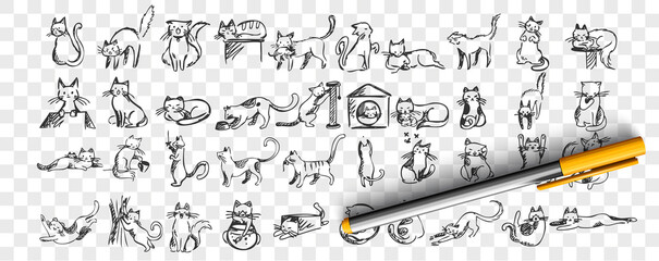 Cats doodle set. Collection of hand drawn pencil sketches templates patterns of adorable pets kitten kitty sleeping stretching playing with ball hiding in box or basket. Illustration dmestic animals.