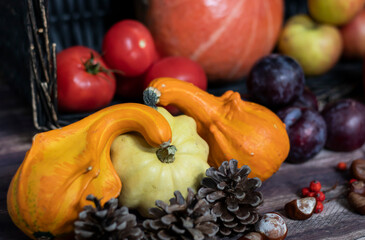 Autumn vegetables. Collect fresh on wood.