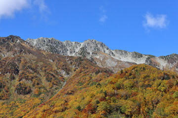 紅葉の山