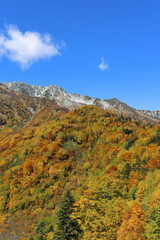 紅葉時期の山の風景