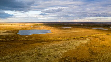 Fototapeta na wymiar Landscape of the forest-tundra in autumn and the sandy river bank, bird's eye view.Arctic Circle, tunda. Beautiful landscape of tundra from a helicopter.
