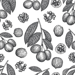 Hand drawn sketch walnut seamless pattern. Organic food vector illustration on white background. Vintage nut illustration. Engraved style botanical background.