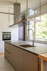 Fototapeta na wymiar Modern kitchen with suspended hood, large sink, oven and wooden worktop.