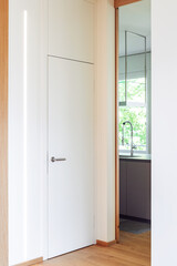 Fototapeta na wymiar Corridor detail with door and led strip. Minimal apartment
