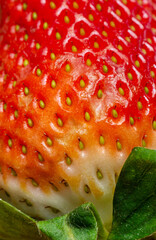 Strawberry macro shot