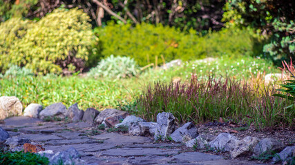 stone path in the botanical garden in autumn