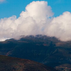 trees in the mountain,  nature and landscape in Bilbao, Spain