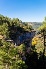 Fototapeta na wymiar natural landscape of pine trees and rocks